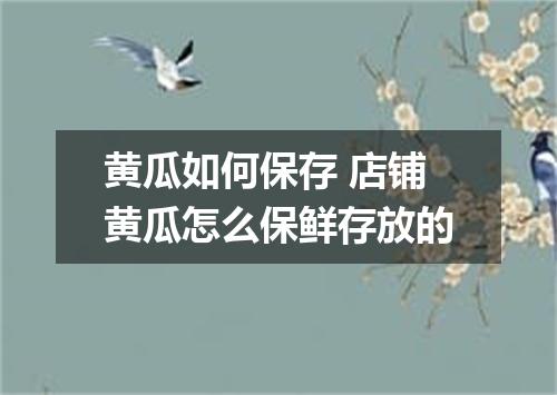 黄瓜如何保存 店铺黄瓜怎么保鲜存放的