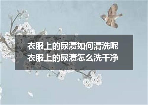 衣服上的尿渍如何清洗呢 衣服上的尿渍怎么洗干净