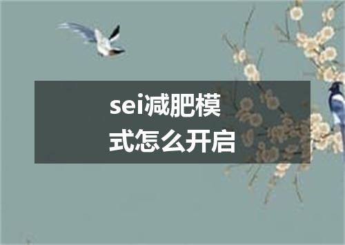 sei减肥模式怎么开启