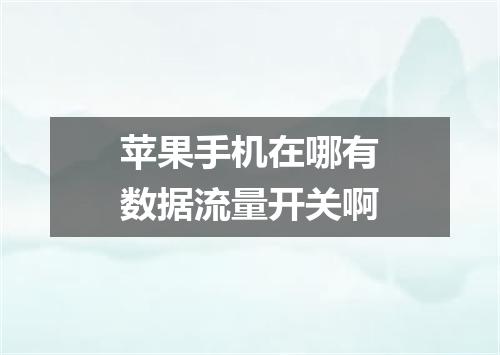 苹果手机在哪有数据流量开关啊