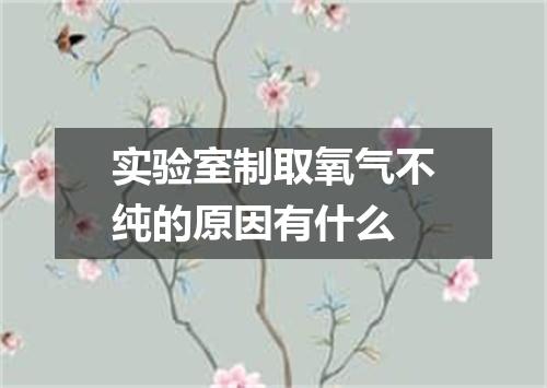 实验室制取氧气不纯的原因有什么