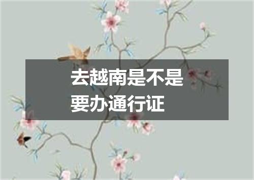 去越南是不是要办通行证