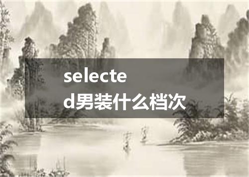 selected男装什么档次