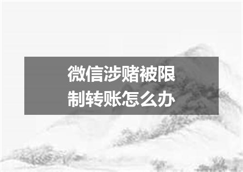 微信涉赌被限制转账怎么办