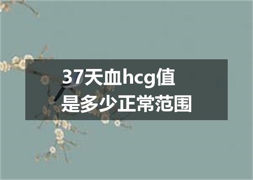 37天血hcg值是多少正常范围
