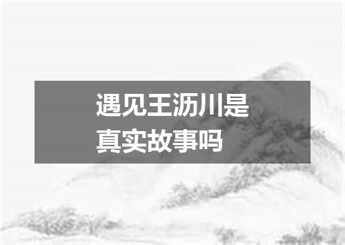 遇见王沥川是真实故事吗
