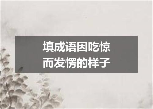 填成语因吃惊而发愣的样子