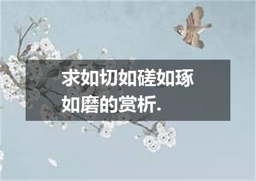 求如切如磋如琢如磨的赏析.