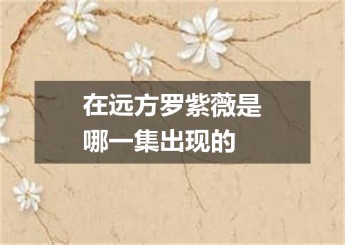 在远方罗紫薇是哪一集出现的