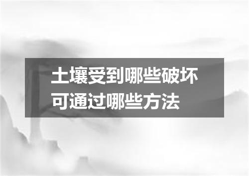 土壤受到哪些破坏可通过哪些方法