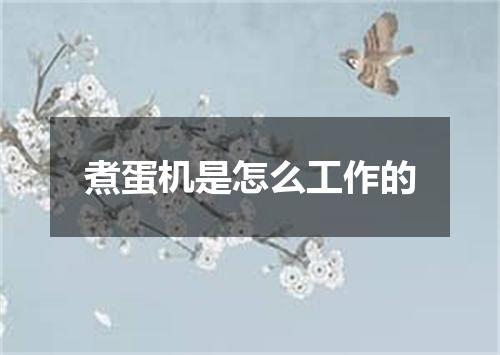 煮蛋机是怎么工作的