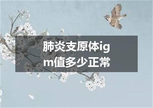 肺炎支原体igm值多少正常