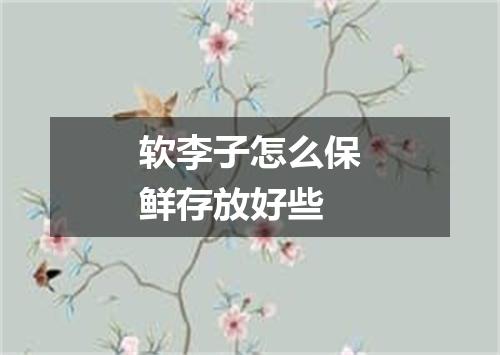 软李子怎么保鲜存放好些