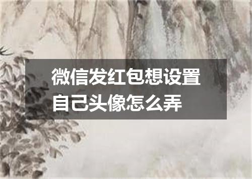 微信发红包想设置自己头像怎么弄