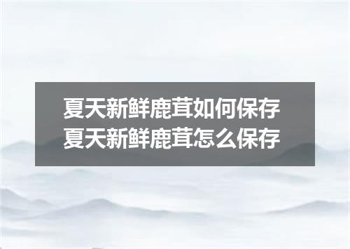 夏天新鲜鹿茸如何保存 夏天新鲜鹿茸怎么保存