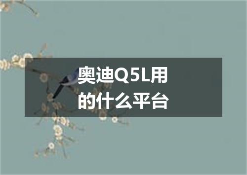 奥迪Q5L用的什么平台
