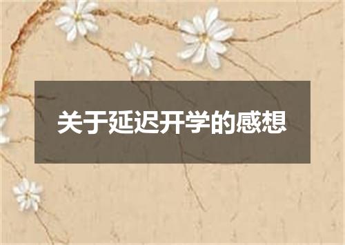 关于延迟开学的感想