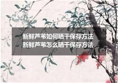 新鲜芦苇如何晒干保存方法 新鲜芦苇怎么晒干保存方法