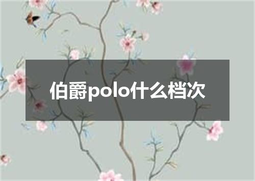 伯爵polo什么档次