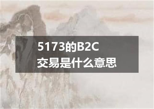 5173的B2C交易是什么意思