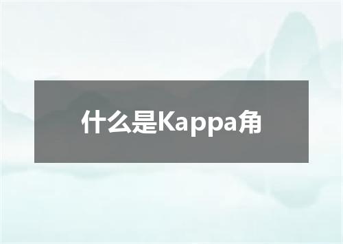 什么是Kappa角