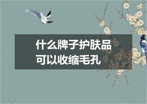 什么牌子护肤品可以收缩毛孔