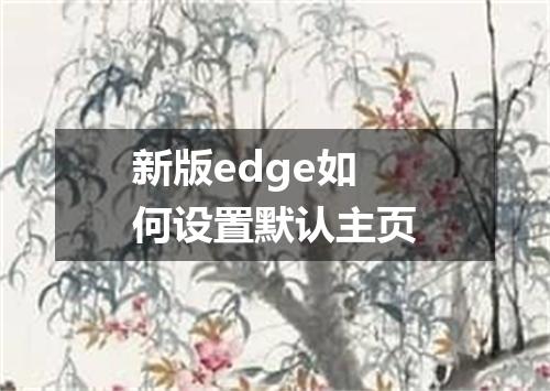 新版edge如何设置默认主页