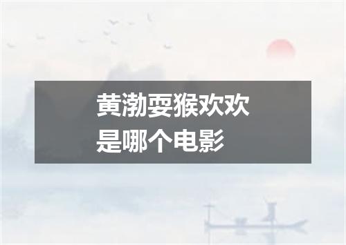 黄渤耍猴欢欢是哪个电影