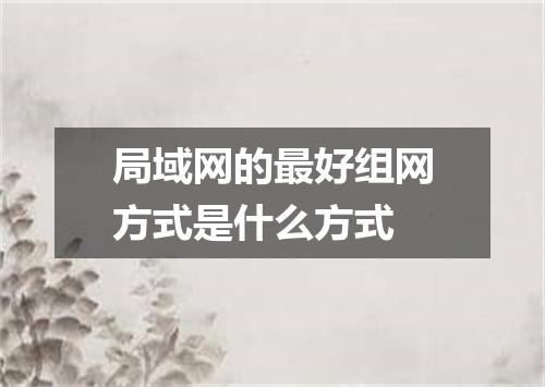 局域网的最好组网方式是什么方式