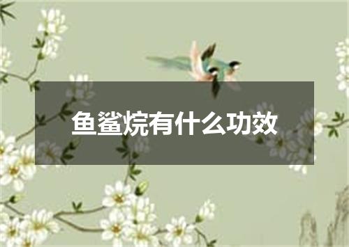 鱼鲨烷有什么功效