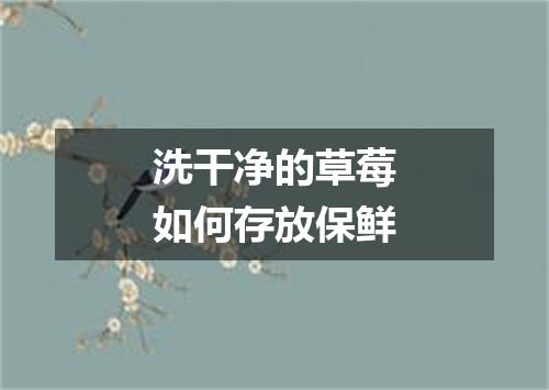 洗干净的草莓如何存放保鲜