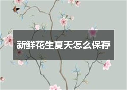 新鲜花生夏天怎么保存