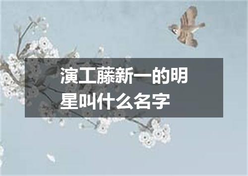 演工藤新一的明星叫什么名字