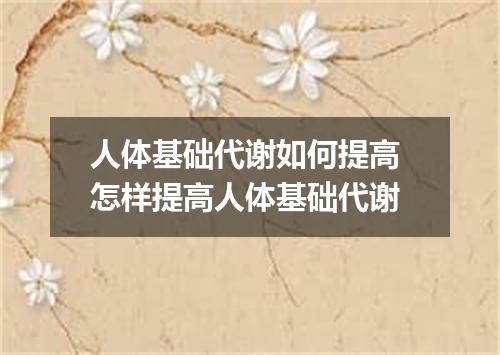 人体基础代谢如何提高 怎样提高人体基础代谢