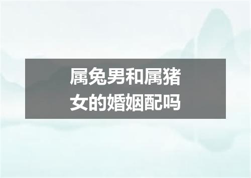 属兔男和属猪女的婚姻配吗