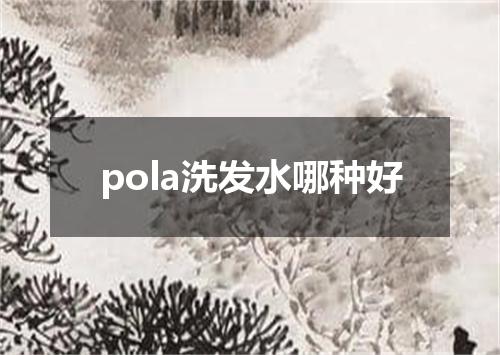 pola洗发水哪种好