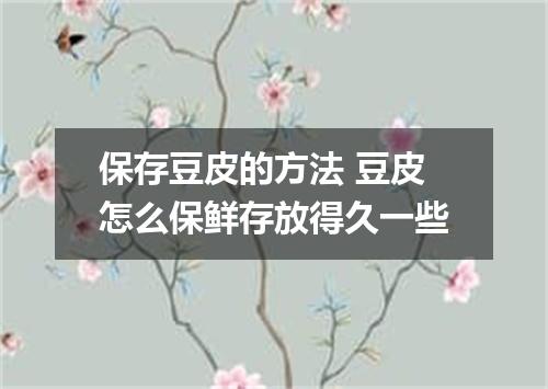保存豆皮的方法 豆皮怎么保鲜存放得久一些