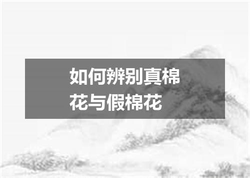 如何辨别真棉花与假棉花