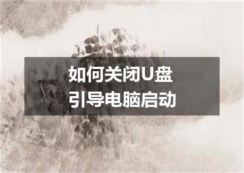 如何关闭U盘引导电脑启动