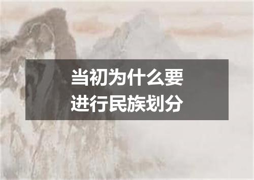 当初为什么要进行民族划分