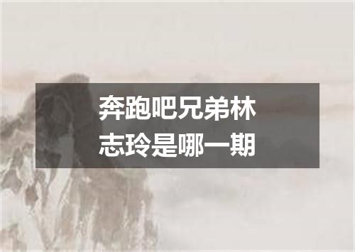 奔跑吧兄弟林志玲是哪一期