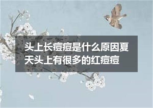 头上长痘痘是什么原因夏天头上有很多的红痘痘