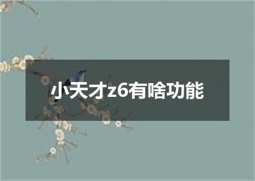 小天才z6有啥功能