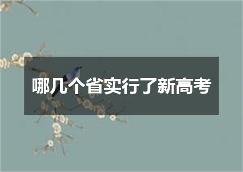 哪几个省实行了新高考