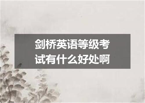 剑桥英语等级考试有什么好处啊