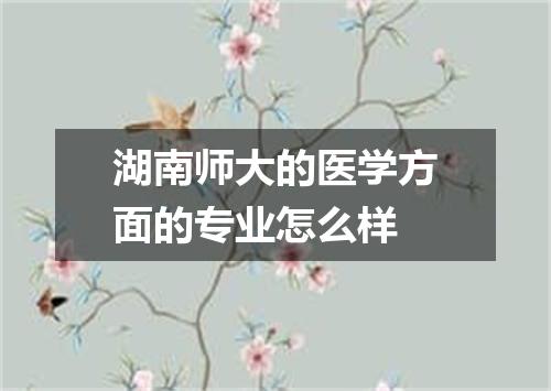 湖南师大的医学方面的专业怎么样