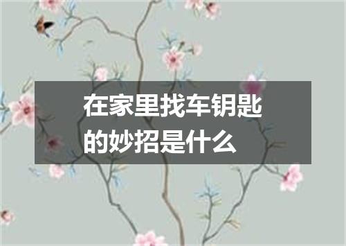 在家里找车钥匙的妙招是什么