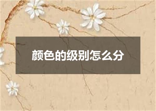 颜色的级别怎么分