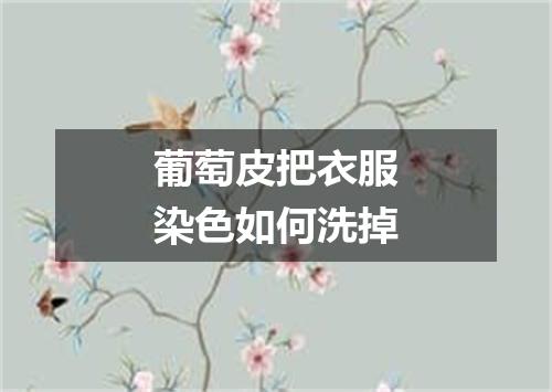葡萄皮把衣服染色如何洗掉