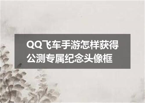 QQ飞车手游怎样获得公测专属纪念头像框